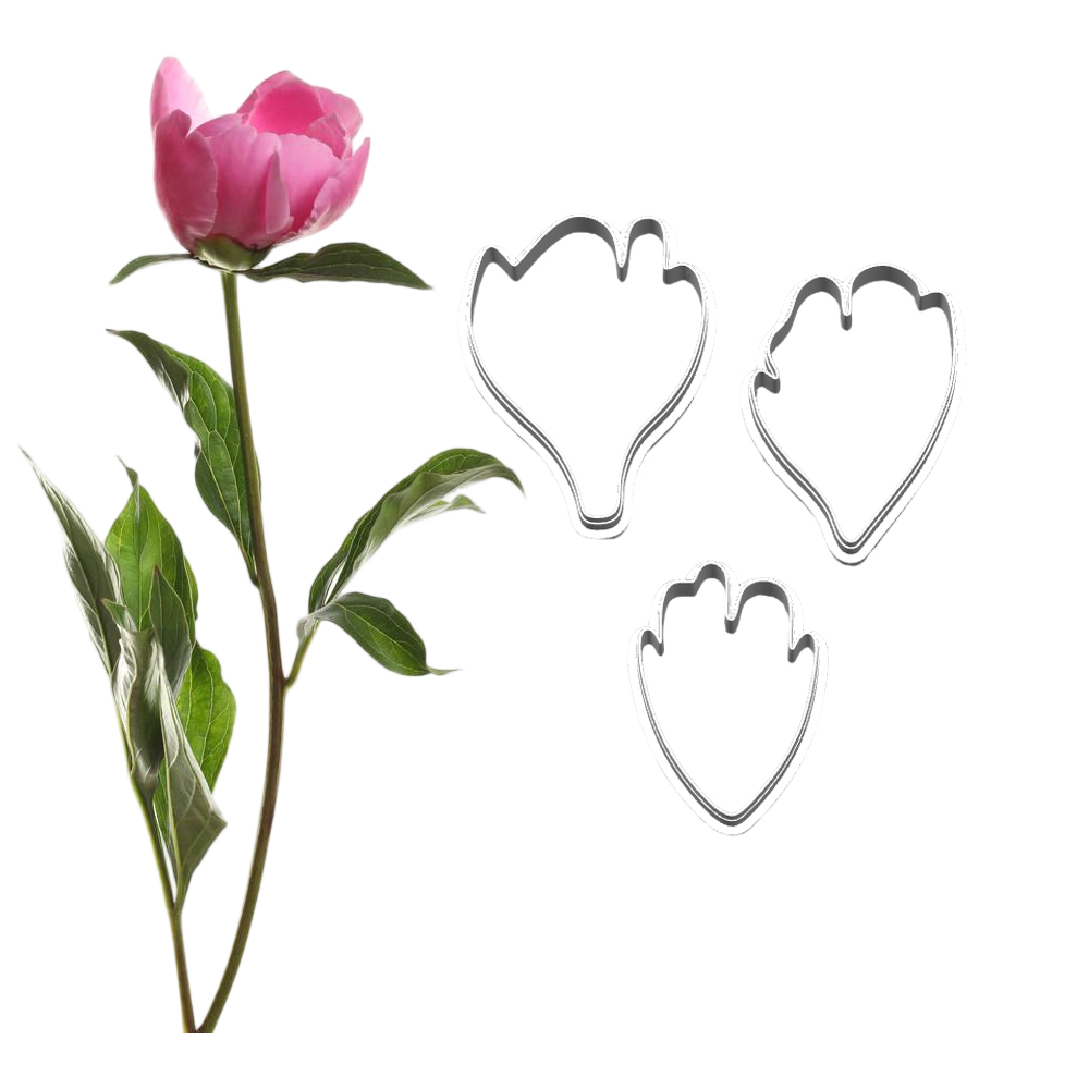 New Peony Silicone Molds&Cutte - đánh giá và giá Candle Making Workshop