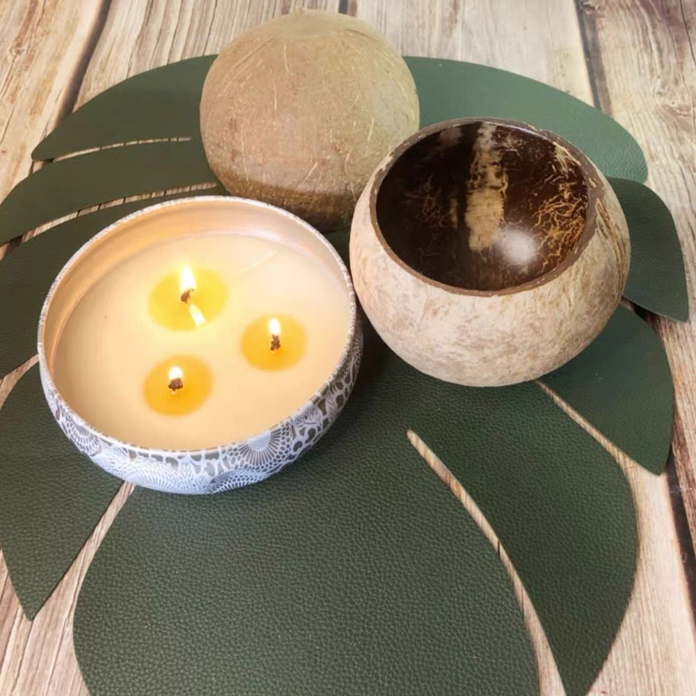 Home Crafts Making Natural Coc - đánh giá và giá Candle Making Homewood